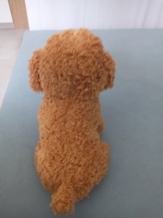 Peluche perro marrón
