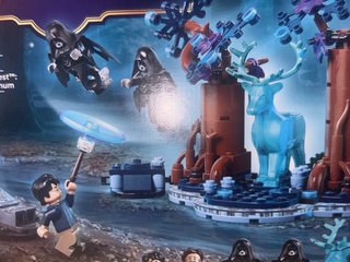 LEGO 76475 Harry Potter