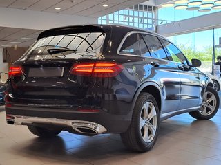 Mercedes-Benz GLC 220 D 4M-SUV (253) 2017