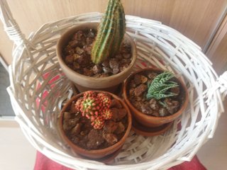 Cesta de mimbre blanca con asa