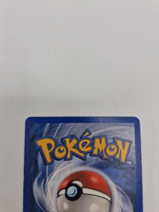 Squirtle 83/112 Ex Rossofuoco Verdefoglia Comune