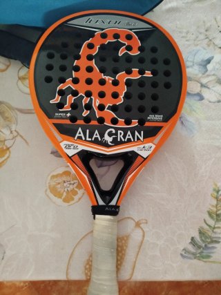 Pala pádel alacran y funda poco uso
