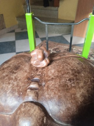 Buda de madera llorando