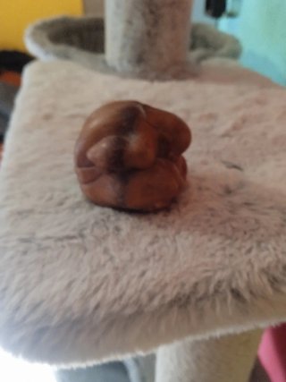 Buda de madera llorando