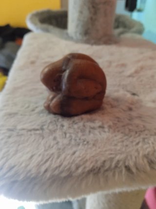 Buda de madera llorando