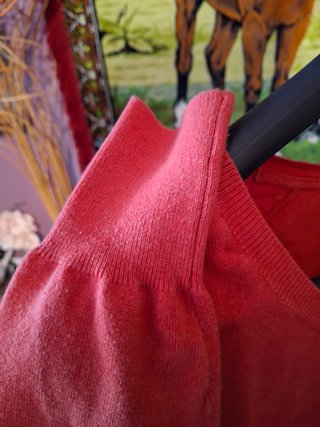 Jersey rojo claro