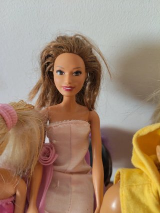 Lote Barbies y Caballos.