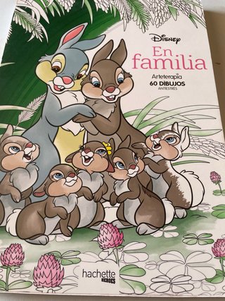 Disney en familia