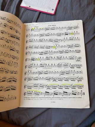Libro de flauta G. Gariboldi - Études Mignones