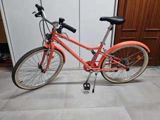 Bicicleta paseo Riverside 500 24 pulgadas