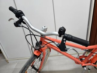 Bicicleta paseo Riverside 500 24 pulgadas