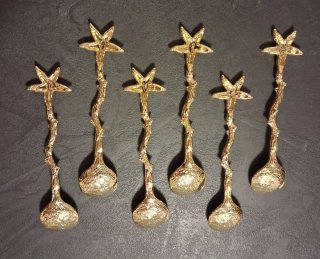 6 cucchiain a stella marina in acciaio dorato