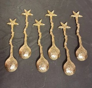 6 cucchiain a stella marina in acciaio dorato
