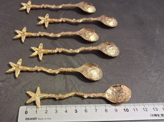 6 cucchiain a stella marina in acciaio dorato