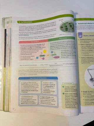 Biología, Geología y Ciencias Ambientales 1 Bac...