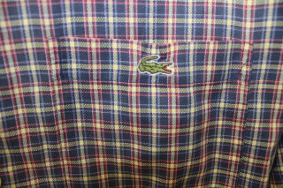 Lote 2 Camisas y 1 Polo Tommy Hilfiger