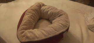 Cama para perro o gato