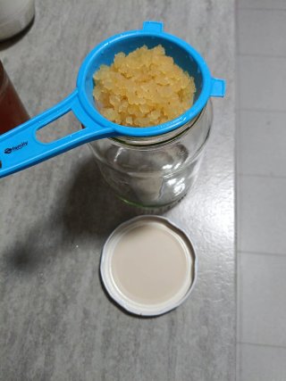 Kit Kéfir de Agua