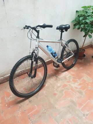 Bicicleta de montaña plateada