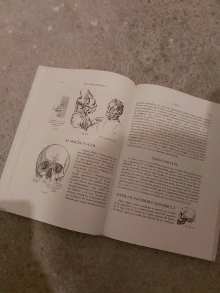 Anatomia artistica Del hombre