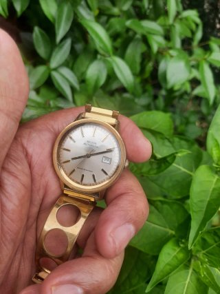 Reloj Kelton Automático Vintage Dorado