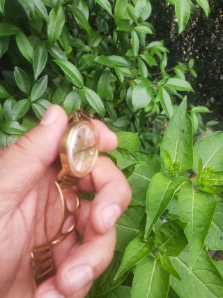 Reloj Kelton Automático Vintage Dorado