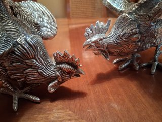 Pareja de gallos de pelea plateados