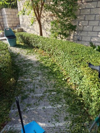 Jardinero