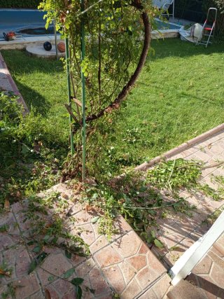 Jardinero