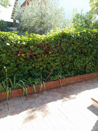Jardinero