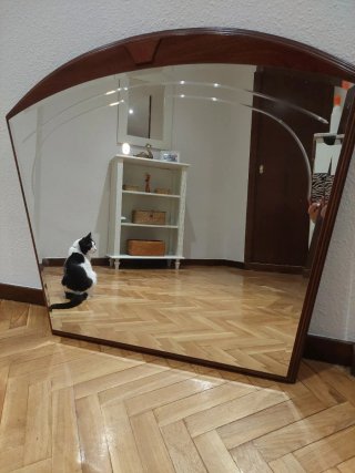 Espejo de madera y cristal