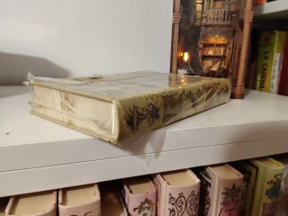 Libro caballos