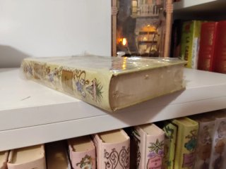 Libro caballos