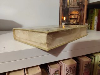 Libro caballos
