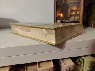 Libro caballos