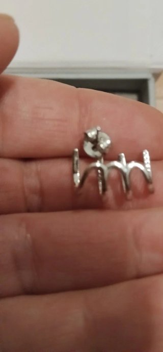 Pendientes Lotus Silver