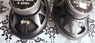 Altavoces Ovalados