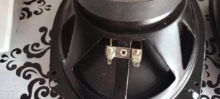 Altavoces Ovalados