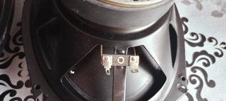 Altavoces Ovalados