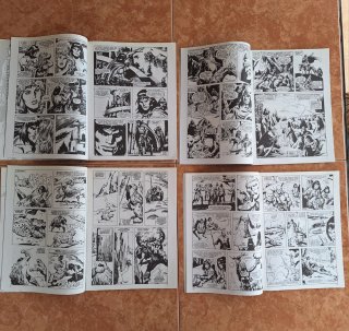 Lote 13 primeros números  El Reino salvaje Conan