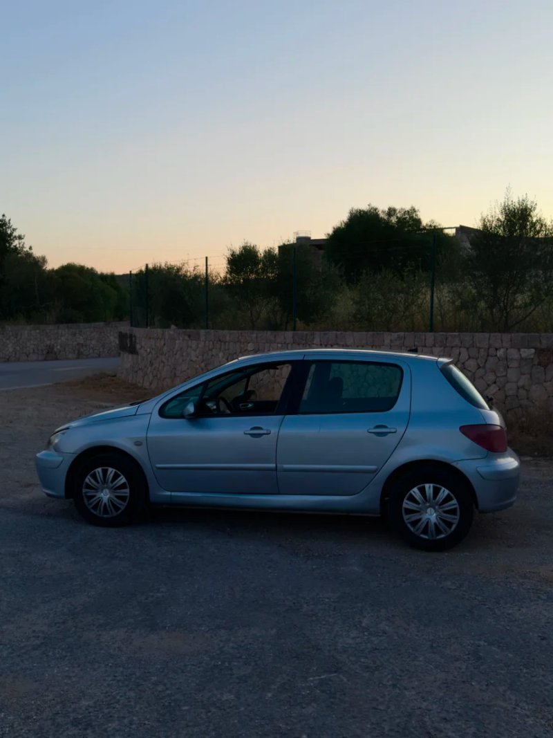 Peugeot 307 2006 - foto 1