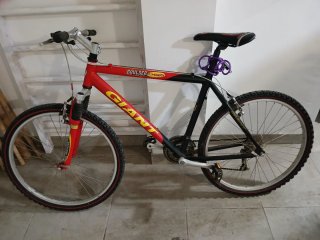 Bicicleta de Montaña Giant Boulder