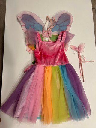 Disfraz Hada/Mariposa Arcoíris