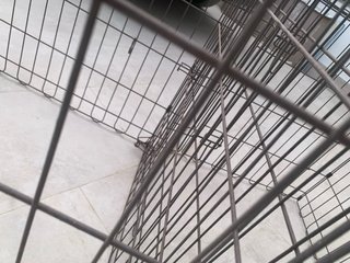 Reja metálica plegable para mascotas
