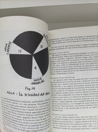Las doce casas y Saturno. Lote 2 libros