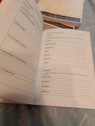 INTRODUCCIÓN A LAS PSICOTERAPIAS EXPERIENCIALES...
