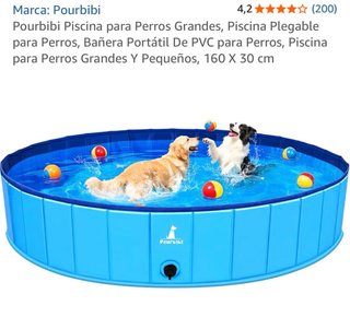 Piscina plegable para perros