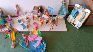 Lote de muñecas y accesorios Barbie