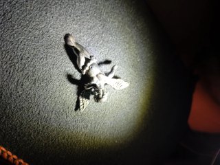 Colgante Plata Ángel
