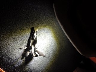 Colgante Plata Ángel